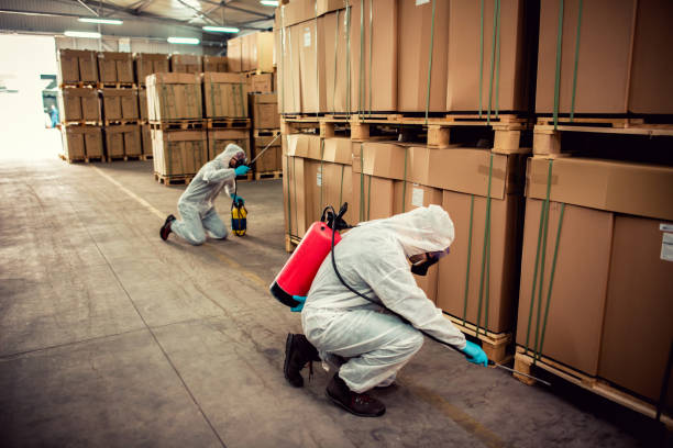 Best Commercial Pest Control Services  in Pagosa Springs, CO