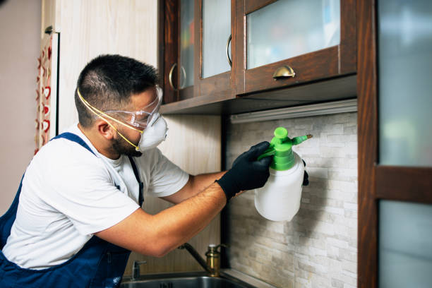 Best Emergency Pest Control  in Pagosa Springs, CO