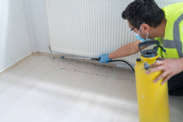 Best Residential Pest Control  in Pagosa Springs, CO